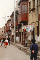 A branch lane, October 1990